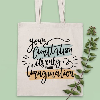Bolsa_your_limitation_it_is_only_your_imagination.jpg